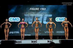 FIGURE +163